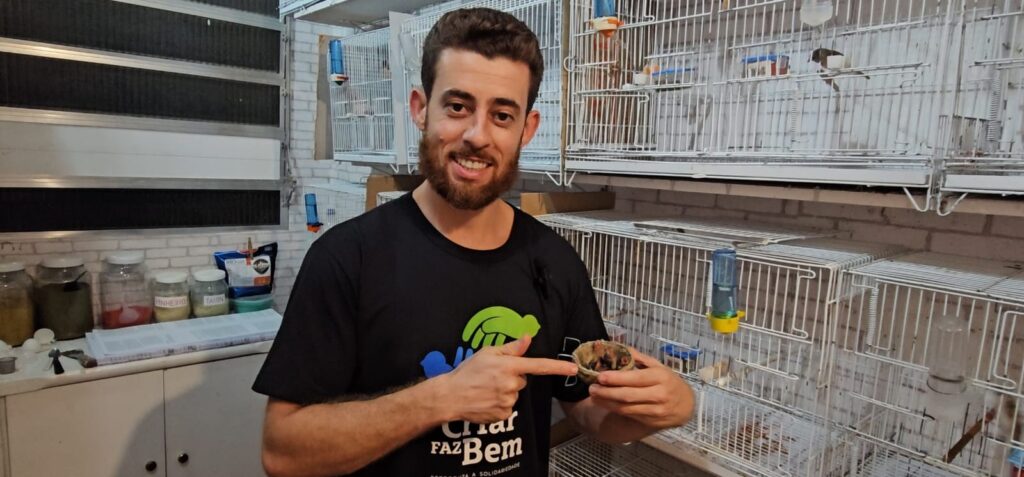 criatório de pintasilgo profissional legalizado pelo ibama